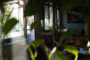 The Zen Space